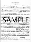 Orchestral Excerpts from the Symphonic Repertoire (v.8)