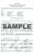 Orchestral Flute Practice Book 2 (also Morris)