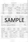 Orchestral Suite #2 (Suite in b minor)
