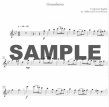 Overtones - Flute Repertoire 2