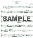 Overtones - Flute Repertoire 4