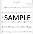 Overtones - Flute Repertoire 5