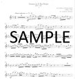 Overtones - Flute Repertoire 8
