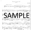 Overtones - Flute Repertoire 8