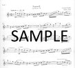 Overtones-Flute Studies 5-8