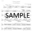 Overtones - Orchestral Excerpts