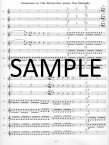 Overture to Abduction from Seraglio
