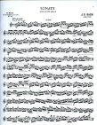 Partita in a (BWV1013) (ed. Moyse,M)