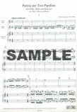 Partita per Trio Papillon