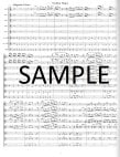 Peer Gynt Suite #2
