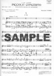 Piccolo Concerto