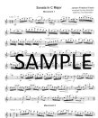 Piccolo Master Repertoire