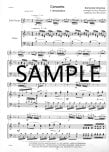 Piccolo Master Repertoire