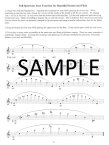 Planning to Play in Tune for Flute