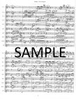 Poco Allegretto from Symphony #3