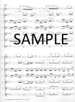 Poco Allegretto from Symphony #3