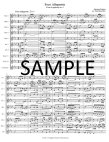 Poco Allegretto from Symphony #3