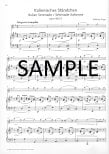 Popp for Flute-7 European Salon Pieces