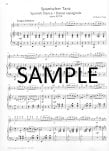 Popp for Flute-7 European Salon Pieces