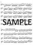 Posthumous Etudes (One Hundred Posthumous Studies)