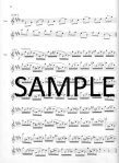 Posthumous Etudes (Preludes and Exercises)