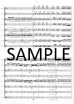 Preambolo for Flute Ensemble
