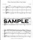 Presto from Flute Sonata #1 in b Minor