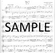 Progressive Duets (v.2) (score form)