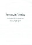 Protea, in Venice