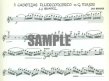 Quantz Cadenzas for Concerto in G