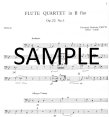 Quartet in Bb (pts)
