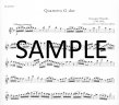 Quartet in G (pts)