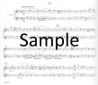 Raglets: Twelve Explorations of Ragtime (sc&pts)