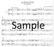 Raglets: Twelve Explorations of Ragtime (sc&pts)