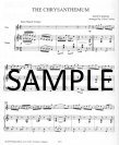Ragtime (5 rags)