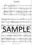 Renaissance Concerto