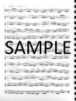 Rhythmic Variations and Transpositions on JS Bach's C Major Flute Sonata (BWV 1033, Second Movement)