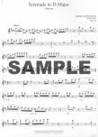 Romantic Flute