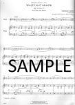 Romantic Flutist Chopin, The