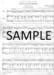 Romantic Flutist Chopin, The