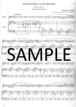 Romantic Flutist Chopin, The