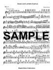 Ruslan and Ludmilla Overture (1st flute part)
