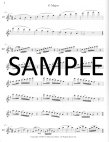 Scale Studies for Beginner and Intermediate Flutists
