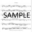 Scale Studies for Beginner and Intermediate Flutists
