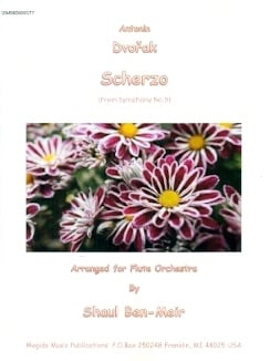 Scherzo from Symphony #9