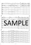 Scherzo Op54 #5