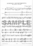 Scherzo(Divertimento)