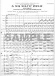 Sea Shanty Frolic, A