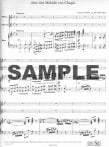 Second Concert Duet on a Melody of Chopin Op68