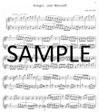 Selected Duets (v.2) (score form)